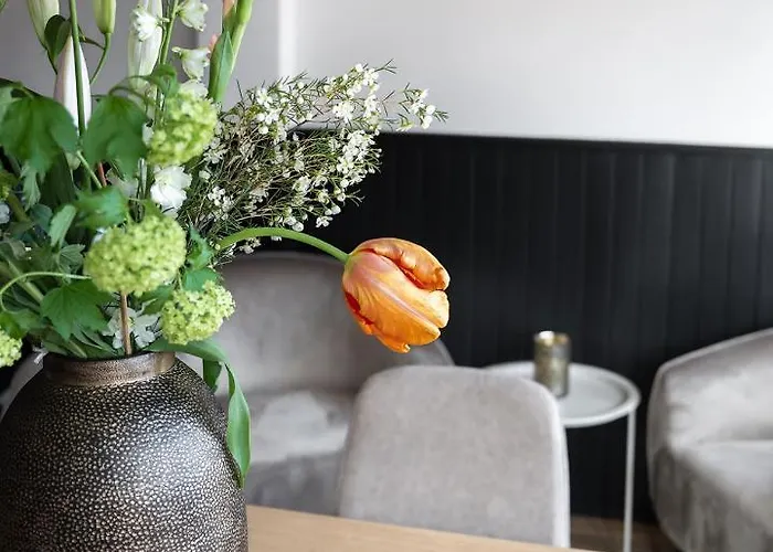 Gelder 阿姆斯特丹